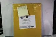 Stampin Up! bumble bee 29 sheets of 8 1/2 x 11 card stock