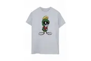 Looney Tunes Womens/Ladies Marvin The Martian Pose Boyfriend T-Shirt (Sports Grey) - UTBI1304