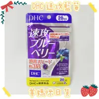 在飛比找蝦皮購物優惠-🇯🇵羊媽咪日貨🇯🇵 ✈️ 日本空運 🎀現貨+預購🎀演唱會推薦