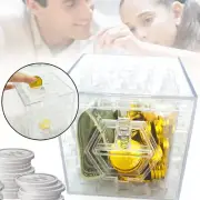 Counting Prize Counter Coin Box Saving Bank Puzzle Geek Gadgets Money Maze Gift