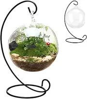 Air Plant Holder, Clear Glass Propagation Vases with Ornament Display Stand, Removable Air Plant Terrarium, Hanging Glass Planter for Indoor Succulent-