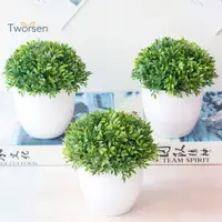 在飛比找蝦皮購物優惠-Tworsen 6 色 1 件人造植物草球 Miniasca