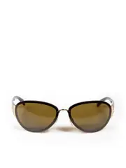 Brown Shield Sunglasses