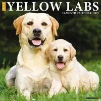 在飛比找博客來優惠-Just Yellow Labs 2023 Wall Cal