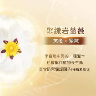 【我的美麗日記】岩薔薇超能抗老面膜5入