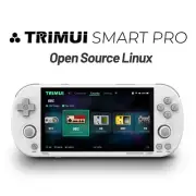 Smart Pro Handheld Game Console with 64gb 4.96''IPS Screen Linux System
