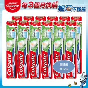 Colgate 高露潔潔淨護齦牙刷）X 12入團購組