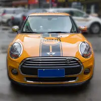 在飛比找蝦皮購物優惠-Mini cooper countryman 拉花 線條 海