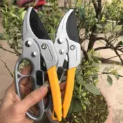 Pruning Shears Cutter HighCarbon Steel Plant Scissor Branch Pruner Trimmer Tools