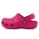 Crocs classic clog k卡駱馳 洞洞鞋 防水 小中童 漿果 R1260 (204536-6X0)