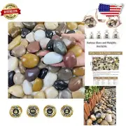 20 lbs Decorative Pebbles - Polished River Rocks for Garden & Aquarium Elegance