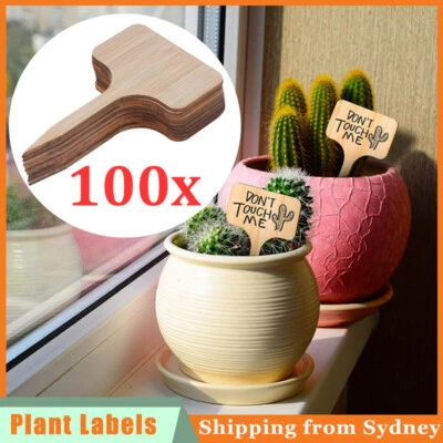 100x Bamboo Plant Flower Labels Word T Tags Garden Home Stake Decor Marker Tool