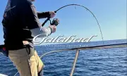 Yamaga Rod Baitcast Jigging Model Galahad Basic GA-624B (7294)