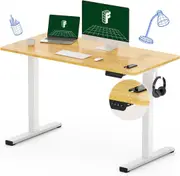 Adjustable Electric Standing Desk with Memory Controller - 120x60 CM Desktop