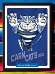 Framed 2022 GEELONG CATS AFL Premiers Poster - 84cm x 59.5cm x 3cm