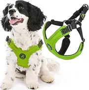 Gooby - Escape Free Sport Harness, Small Dog Step-in Neoprene Harness for Dogs That Like to Escape Their Harness, Lime, Medium