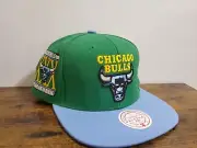 Chicago Bulls Mitchell & Ness NBA SnapBack Adjustable Hat Two Tone Green/Blue