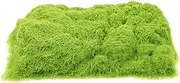 Angoily 1 Pack Construction Straw Powder Material Moss Decoration Fake Moss Fairy Garden Grass Static Grass Terrain Powder Moss Powder Fake Grass Craft Fake Grass for Crafts Green Flocking