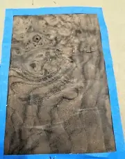 Walnut Burl wood veneer raw 6" x 10" no backing 1/42" thickness A grade 1/42"