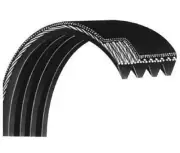 Matrix Retail Treadmill Poly-V Flexonic Pulley Drive Belt 21" Ribs 8 1000368890