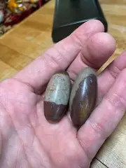 Shiva Lingam Rocks Narmada River Imported From India Pair Two Specimens 556