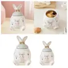 Ceramic Cookie Jar Food Storage Container Jar for Pasta Serving Tea Flour