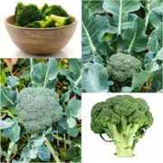 Broccoli - Di Ciccio seeds