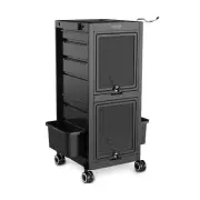 TASALON Premium Lockable Salon Trolley Cart with Wheels and 6 Drawers & 2 Buc...