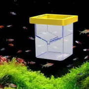 Floating Fish Breeding Box Aquarium Breeder Feeder Hatchery for Clownfish