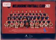 AFL MELBOURNE DEMONS TEAM POSTER, FOOTBALL PREMIERS CATS DOGS PIES CROWS 6