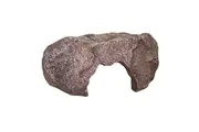 Komodo Wide Entrance Rock Den Medium
