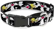 Dog Collar Martingale Sylvester And Tweety Poses Scattered Charcoal 11 to 17 Inches 1.0 Inch Wide