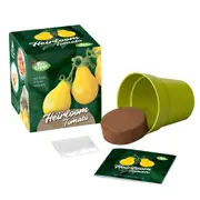 Mrs Green - Heirloom Tomato