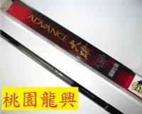 在飛比找Yahoo!奇摩拍賣優惠-{龍哥釣具1}SHIMANO ADVANCE 大磯 4-52