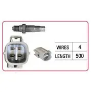 RAE Oxygen Sensor - OX449