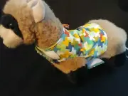 Ferret Harness - Multi-Color - M/L