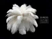 25 Pieces - 14-17" Off White Ostrich Drab Feathers Centerpiece Wedding Supplier