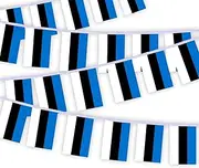30 PCS Estonia Flag Bunting,33 FT Estonians National String Decoration, Decor Banner for Outdoor Indoor Patio Yard Classroom Club