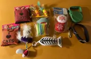 Cat Kitten Toys Collar Leash