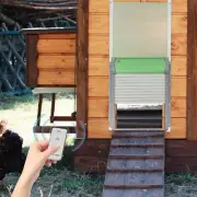 CNCEST Automatic Chicken Coop Door Solar Powered,Smart Anti-Pinch Aluminum Au...