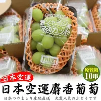 在飛比找Yahoo奇摩購物中心優惠-【天天果園】日本進口溫室麝香葡萄5kg原裝箱(約8-9串)