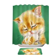 Cute Tempting Ginger Cat Drawing Shower Curtain