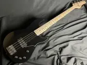 SCHECTER L SGRY AS M