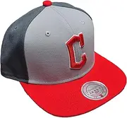Mitchell & Ness Cleveland Baseball Triple Play Liberty Snapback Hat Cap - Gray, Gray, One Size