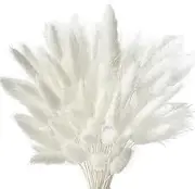 Pampas Grass Decor, 60 Pack 17" White Faux Pampas, Boho Wedding, Home Decor, Photography Props