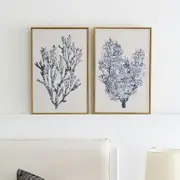 Coral Framed Canvas Wall Art [HABLCORAF23]