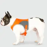 【CANADA POOCH】寵物背心/ 搶眼安全背心-16(HIGH VISIBILITY SAFETY VEST-16)