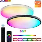 Modern LED Ceiling Down Light Round 30W RGB Bluetooth Ultra-Thin Lamp Tuya APP
