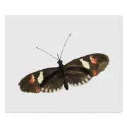 2 x 'Postman Butterfly' Microfibre Lens / Glasses Cleaning Cloths (LC00024409)