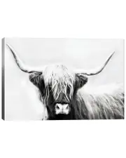 iCanvas Highland Longhorn by Danita Delimont Wall Art